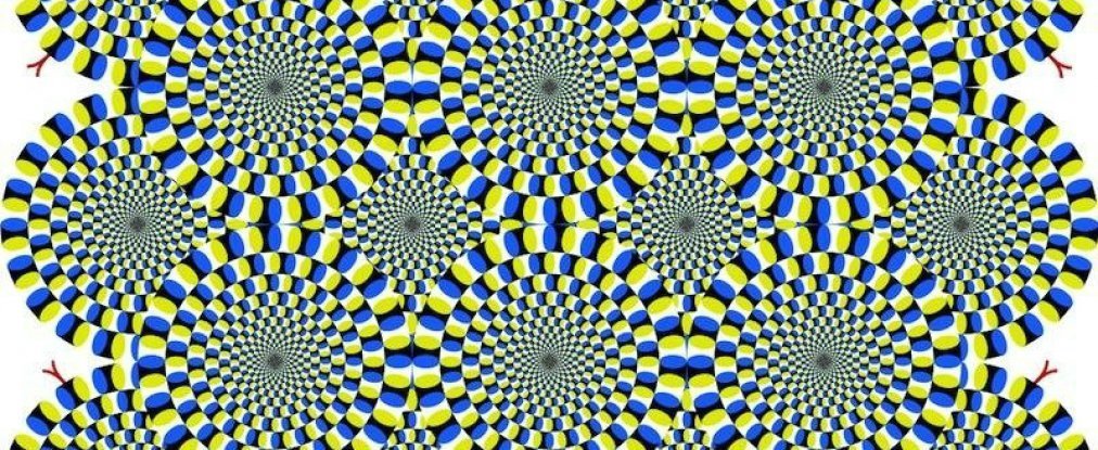 Optical Illusion Optical Illusion