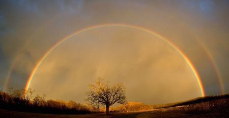 "Finding Comfort" by Dr. Kenneth Wapnick on "A Course in Miracles"